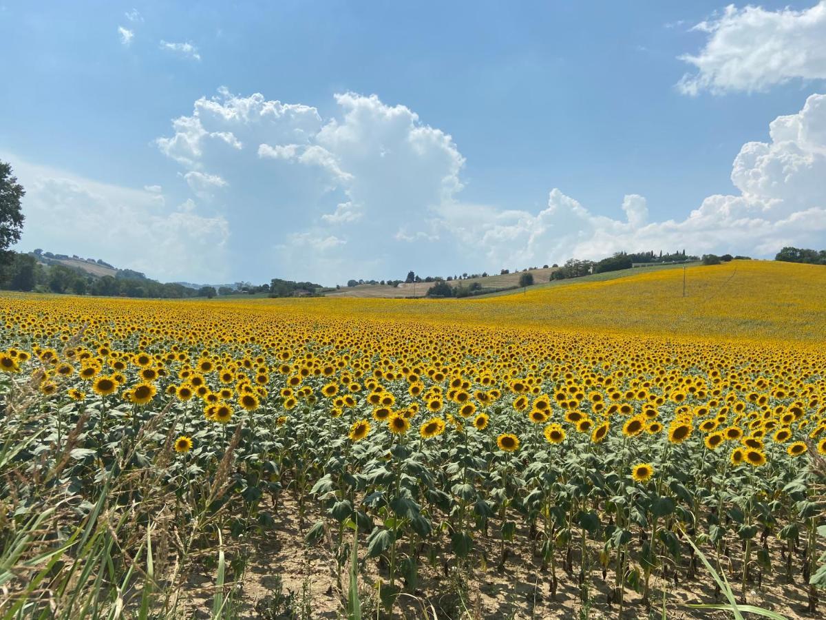 Frühstückspension Tenuta Fonte Mosco' Ponzano di Fermo